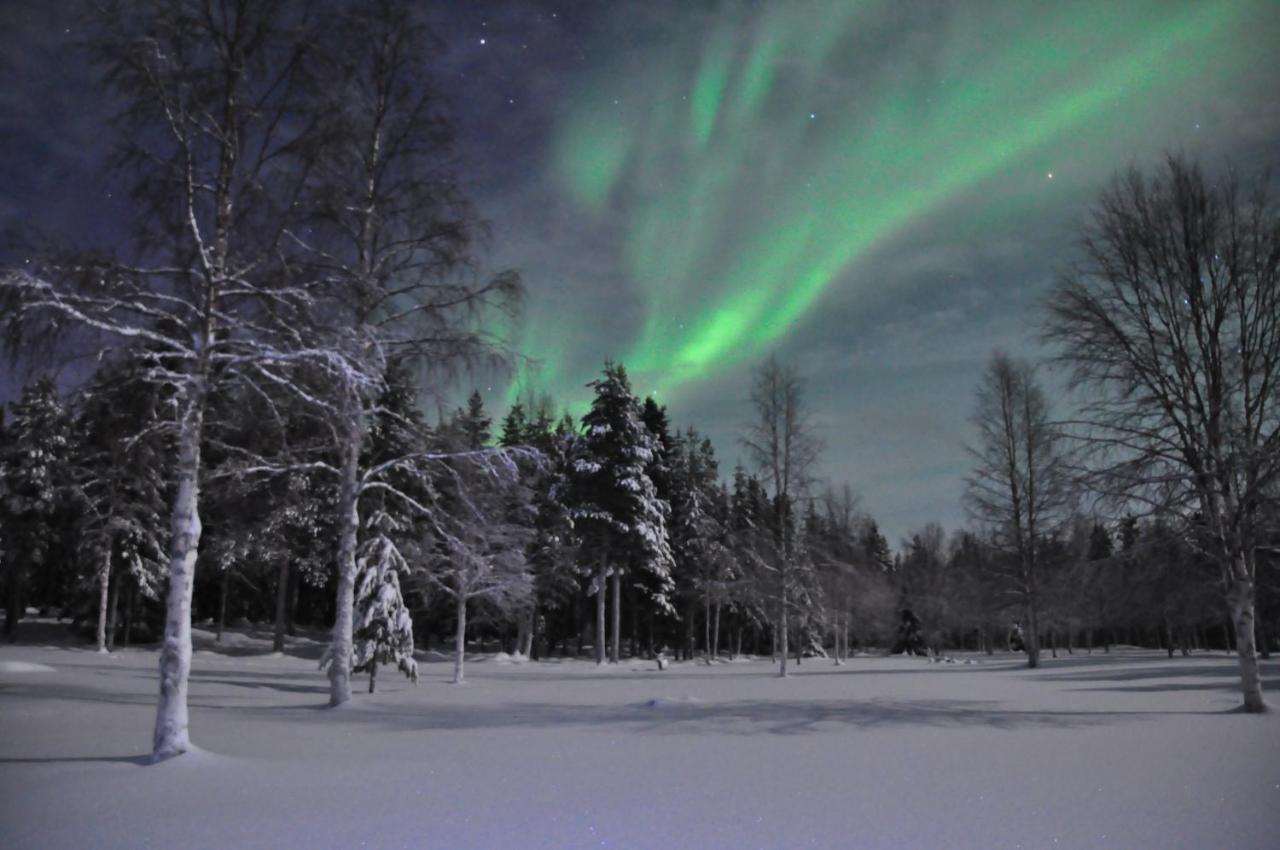 Cottage On Wild River In Lapland/Sweden Karlsten エクステリア 写真